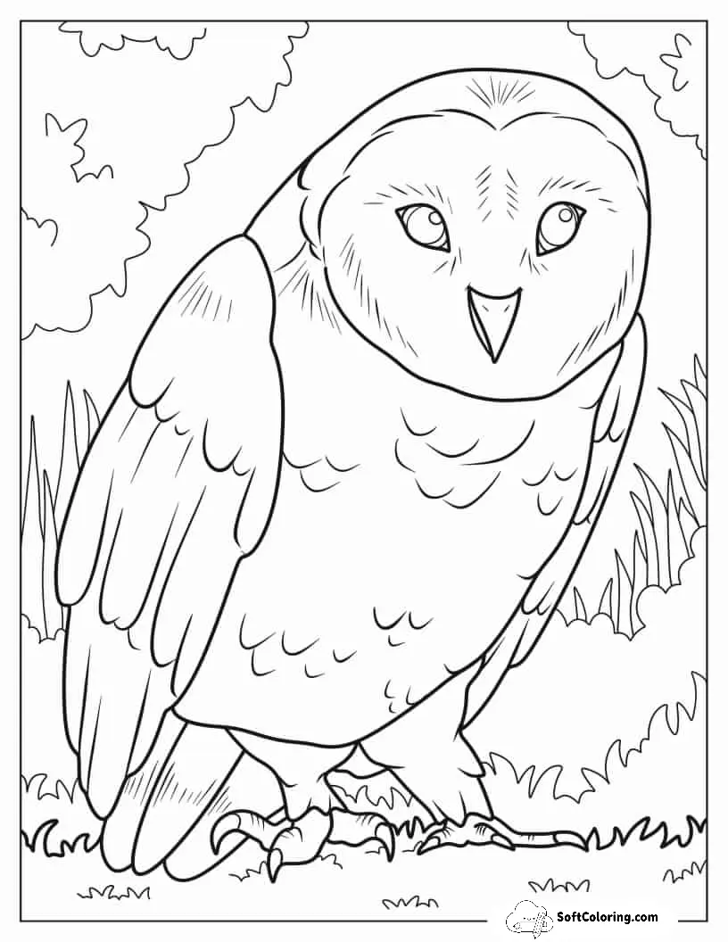 Barn Own To Color