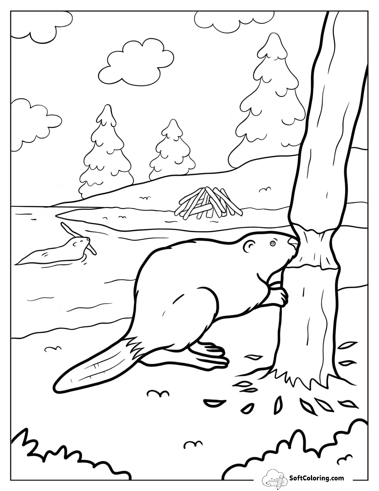 Free Beaver Coloring Pages (20+ Printables) - Softcoloring