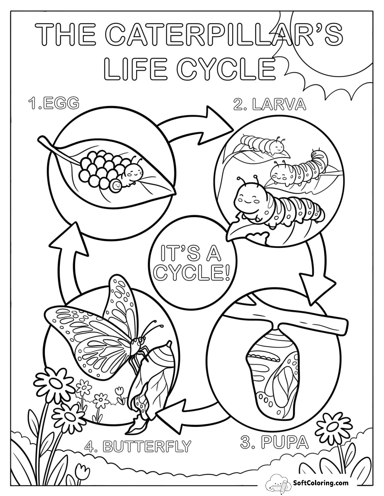 Caterpillar Life Cycle Diagram With Egg, Larva, Pupa, And Butterfly