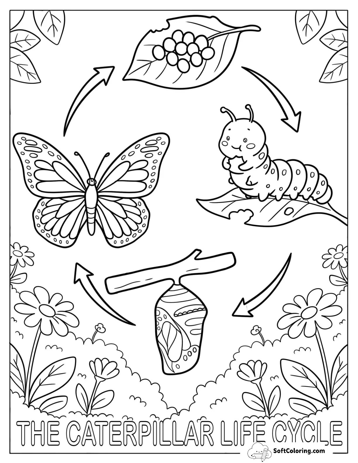 Caterpillar Life Cycle With Leaf, Chrysalis, And Butterfly