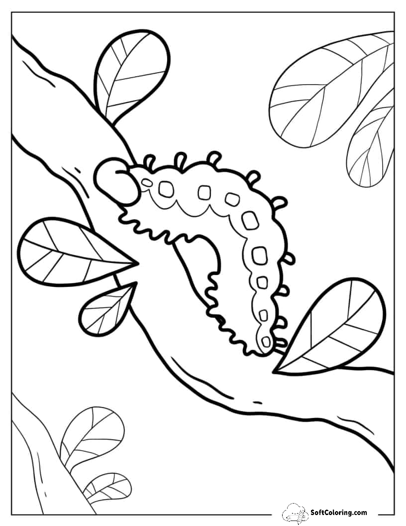 Caterpillar Walking Down Branch