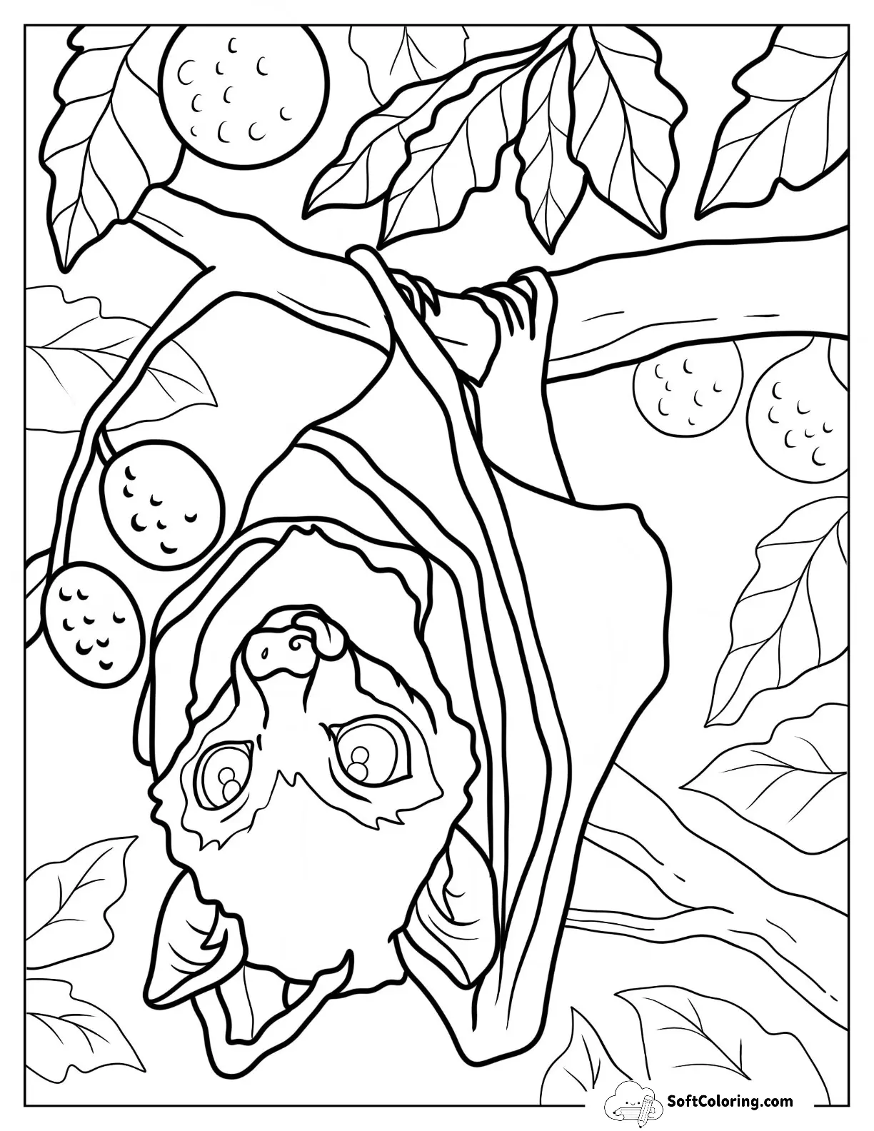 Close Up Of Realistic Bat Roosting On Fruit Tree