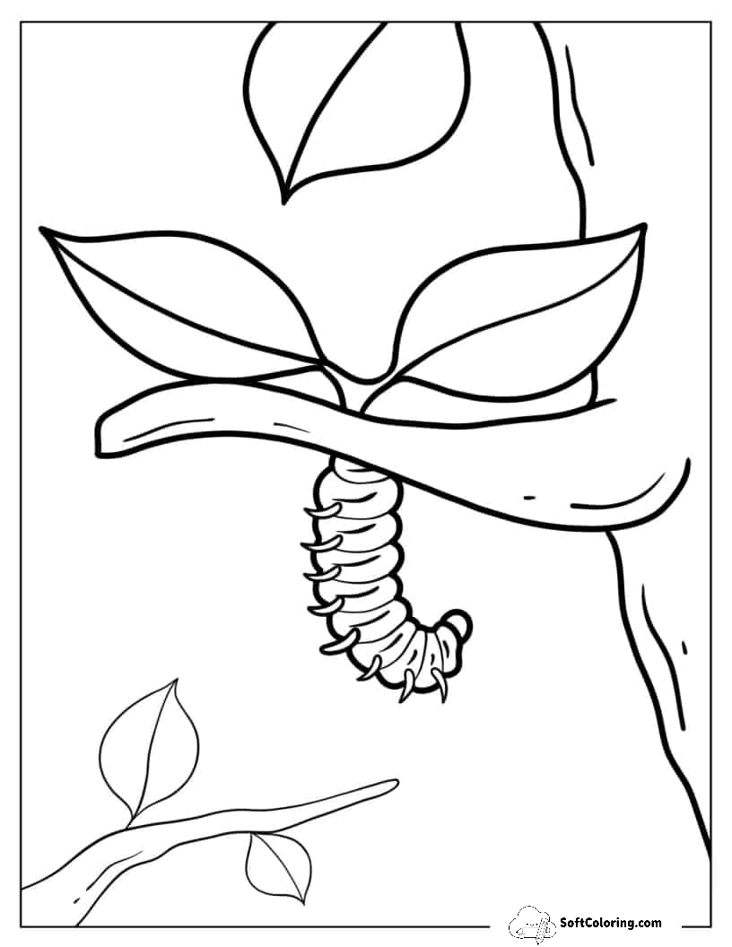 Caterpillar Hanging From Tree