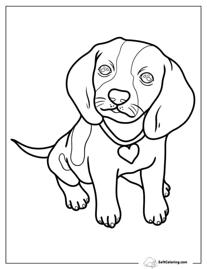 Realistic Beagle Puppy Wearing A Collar