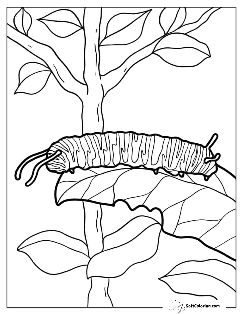 Coloring Page Of A Monarch Caterpillar