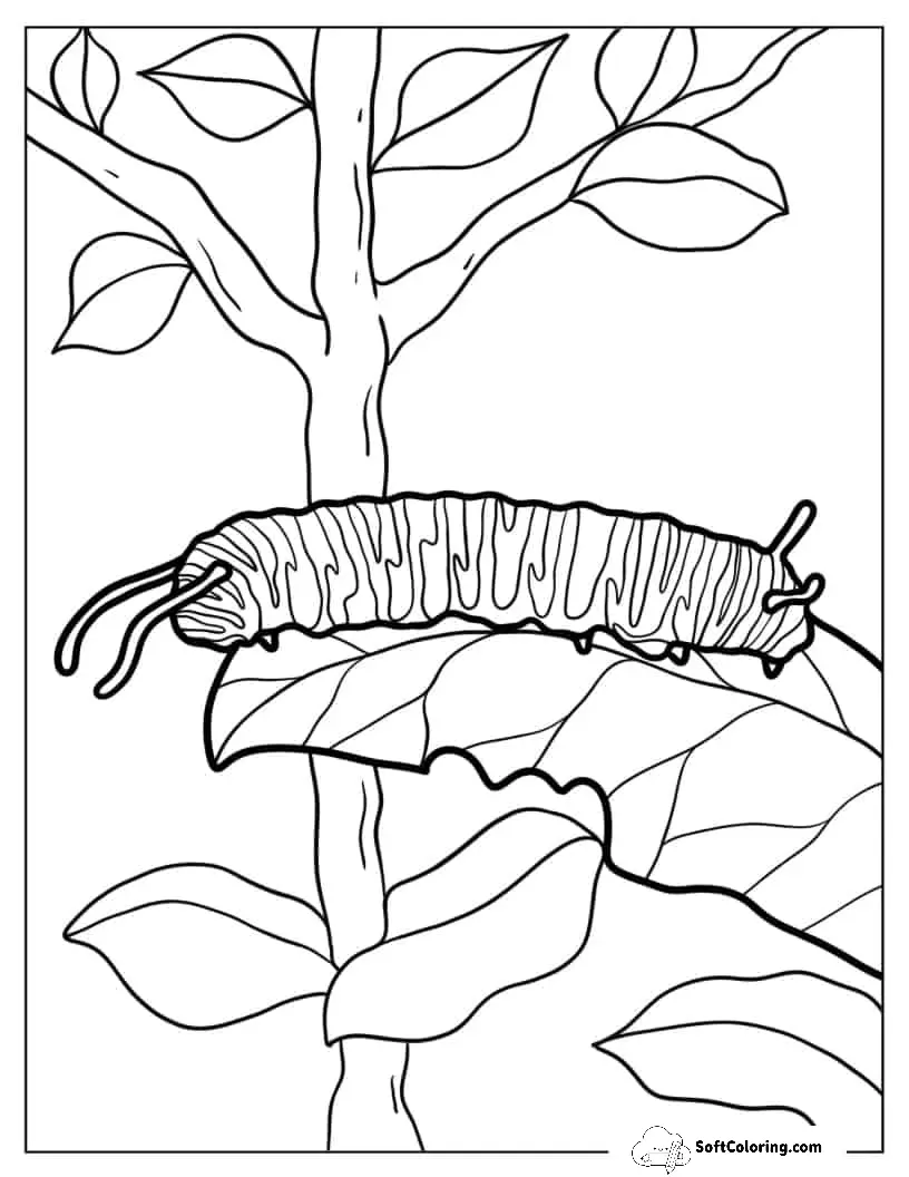 Coloring Page Of A Monarch Caterpillar