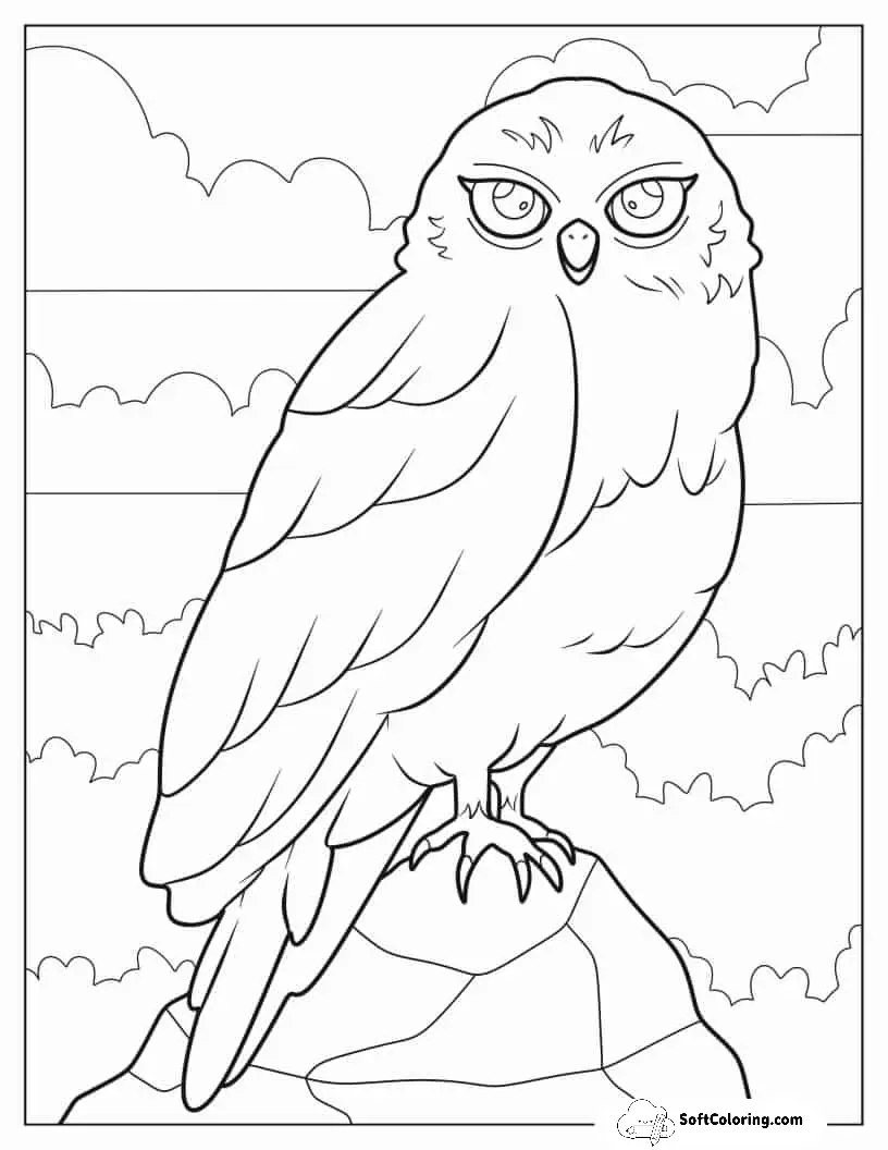 Coloring Sheet Of Owl Sitting On Rock