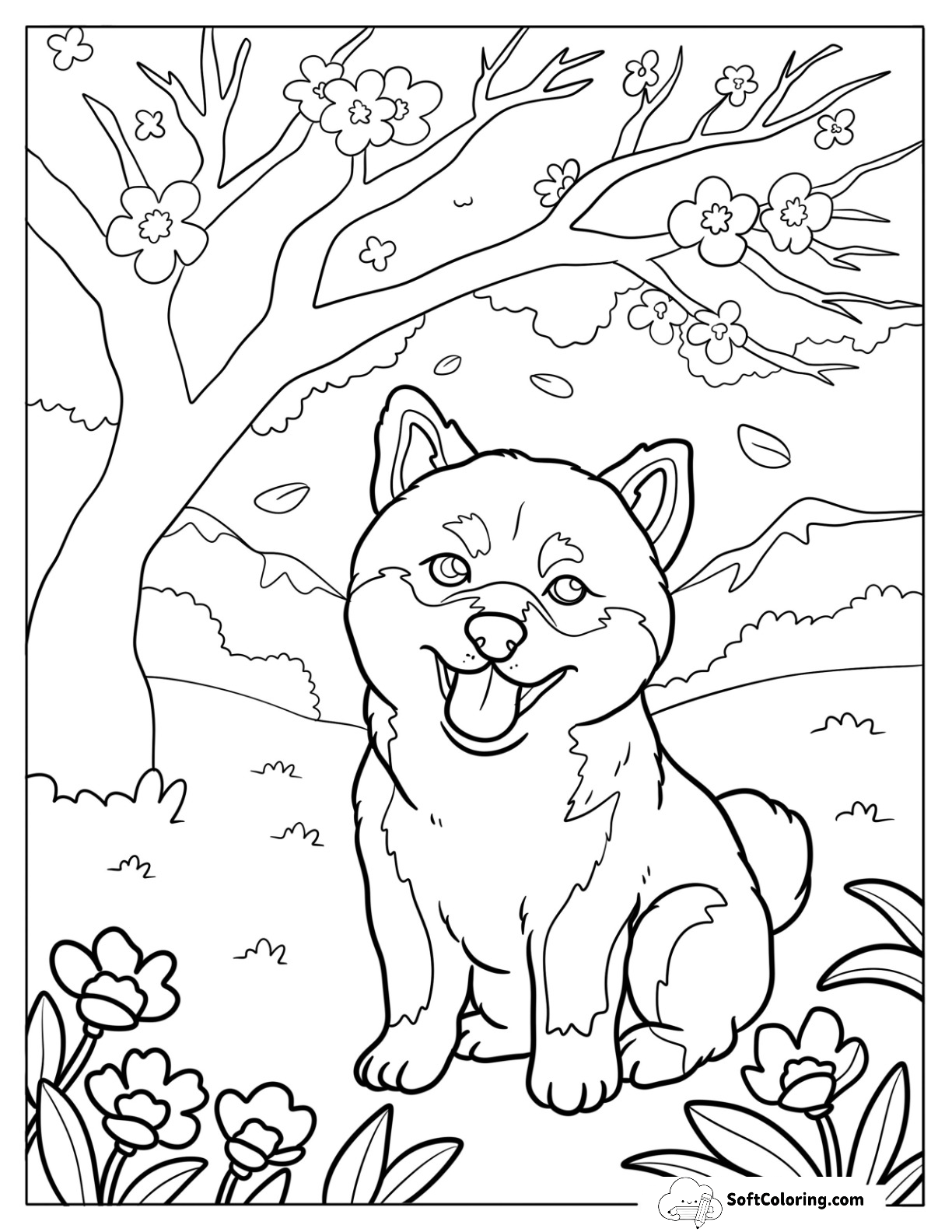Detailed Shiba Inu Puppy Under Cherry Blossom Tree