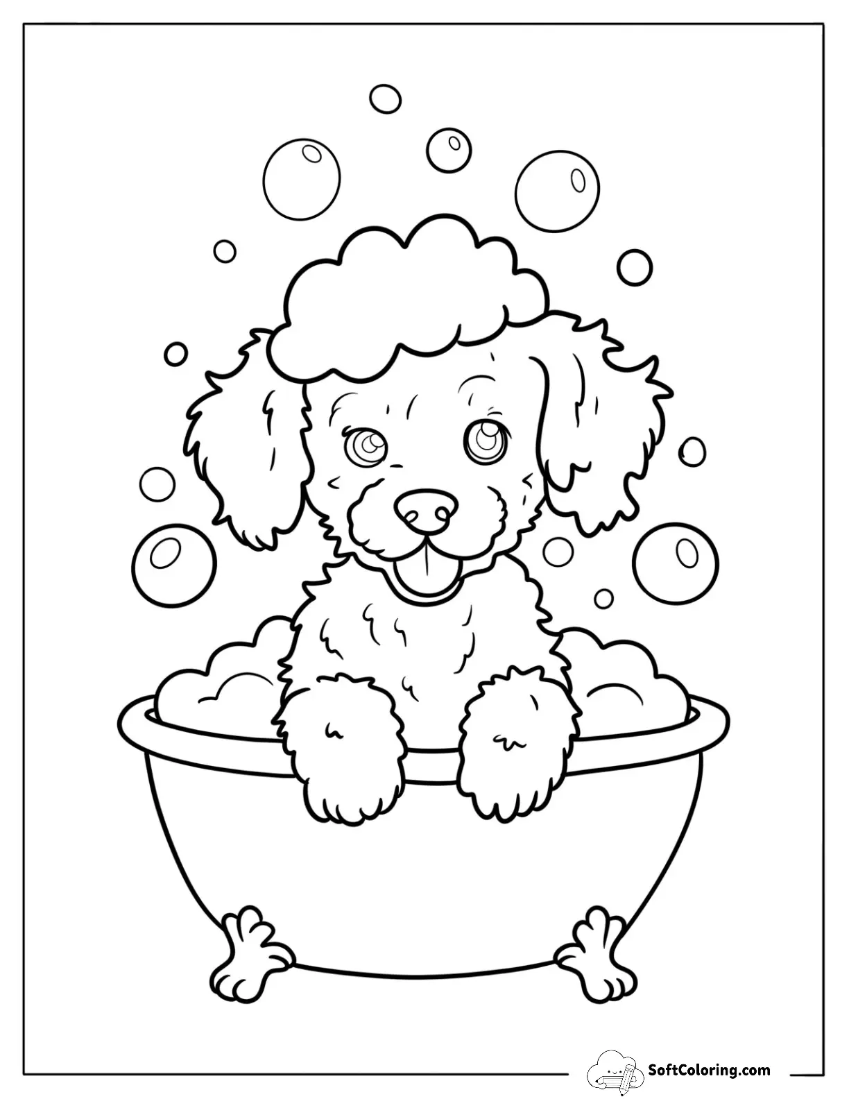 Easy Poodle Puppy In A Bubbly Tub