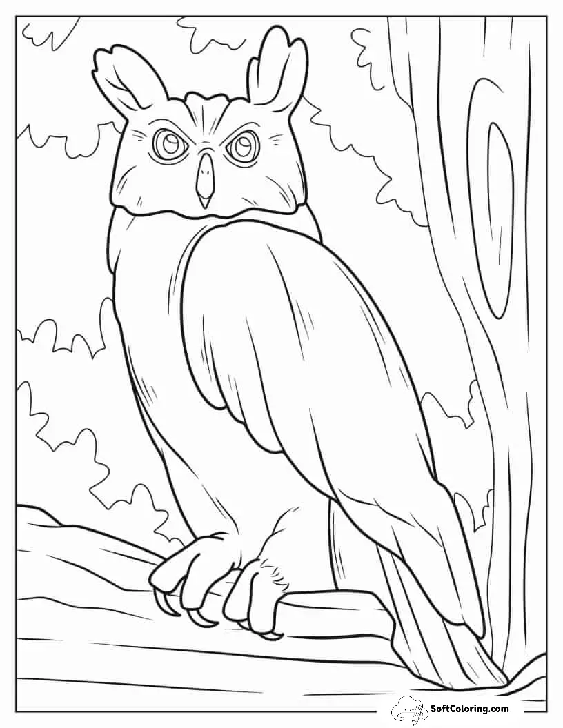 Eurasian Eagle-Owl Coloring Sheet