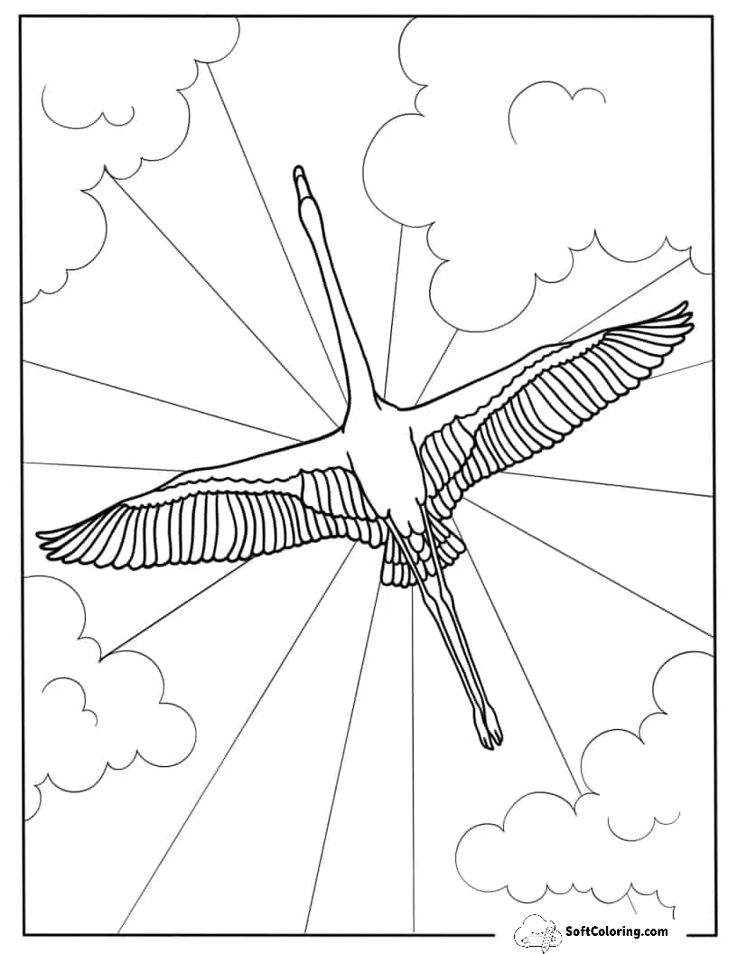 Flamingo Flying With Wings Spread Wide Open