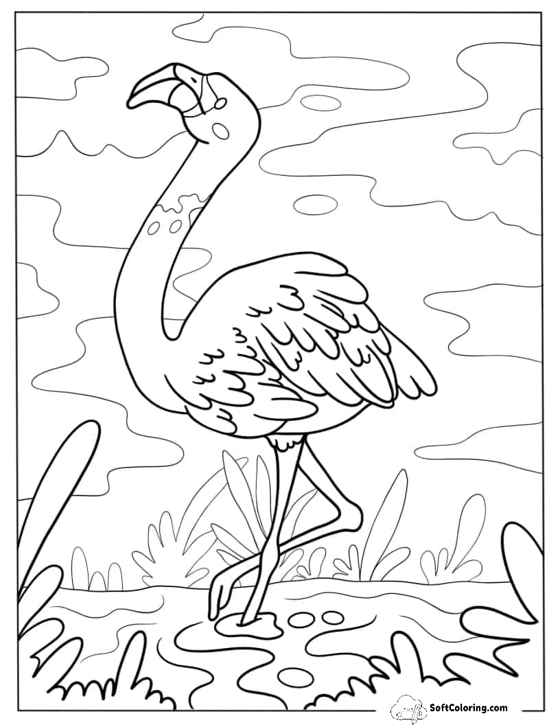 Flamingo Walking In The Water