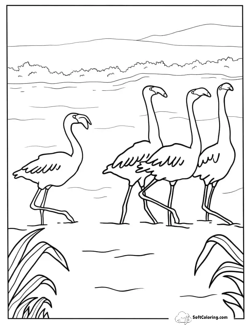 Flock Of Flamingos Walking In Water