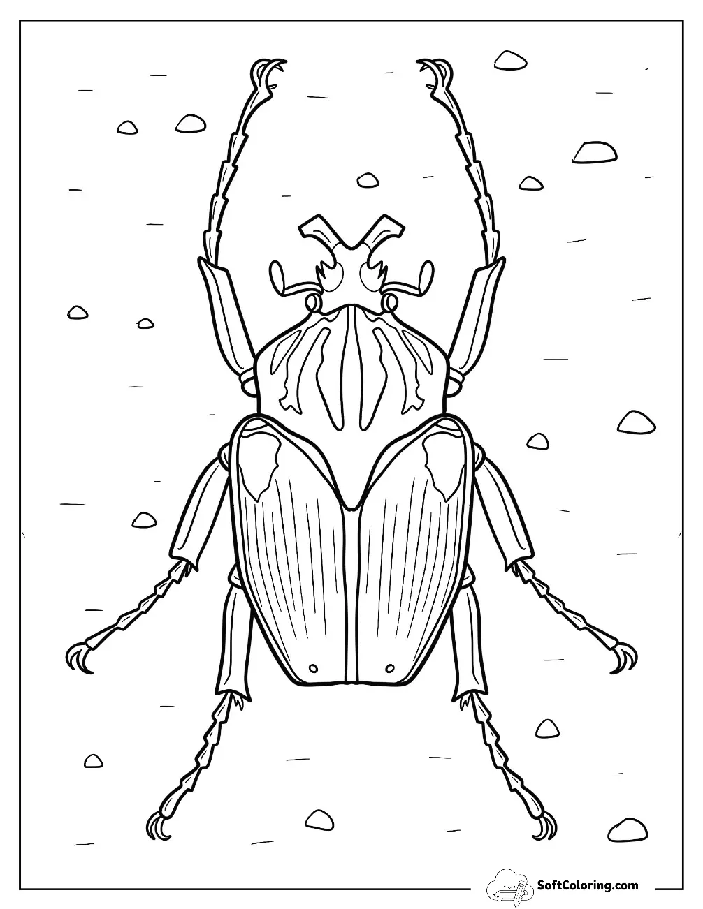 Beetle Coloring Pages