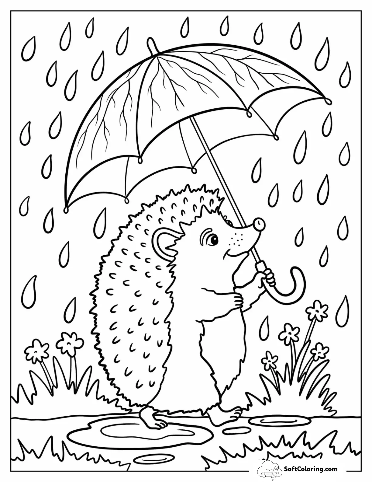 Hedgehog Holding Umbrella While Walking In The Rain