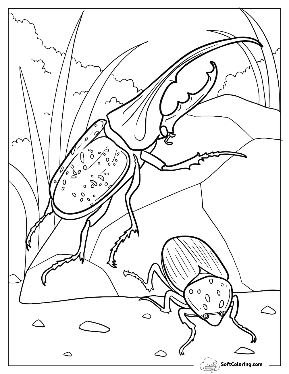 Hercules Beetle Coloring Page Climbing Rock
