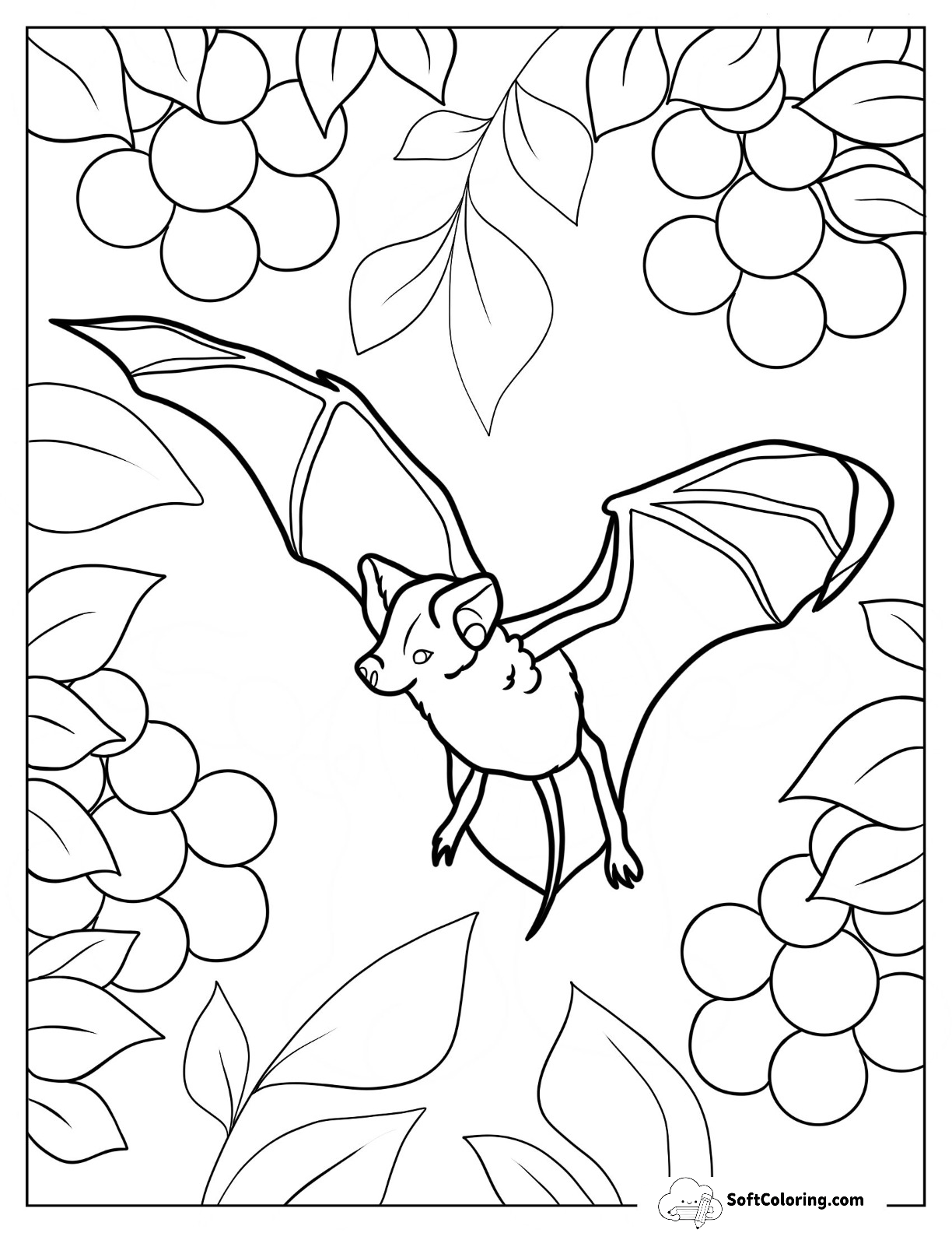 Little Brown Bat Coloring Page In The Air