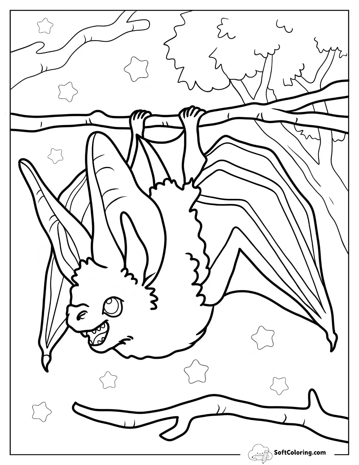 Mewitti Bat Getting Ready To Fly