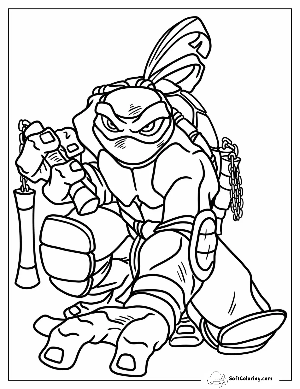 Ninja Turtles Of Michelangelo Holding Nunchucks