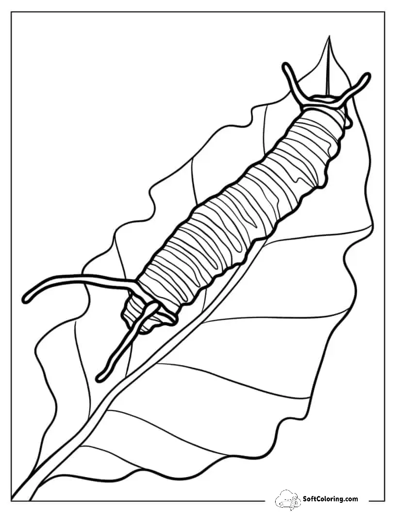 Monarch Caterpillar On Leaf To Color