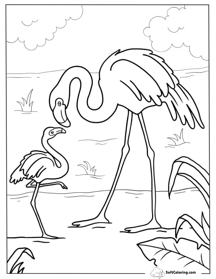 Mother And Baby Flamingo In Water To Color