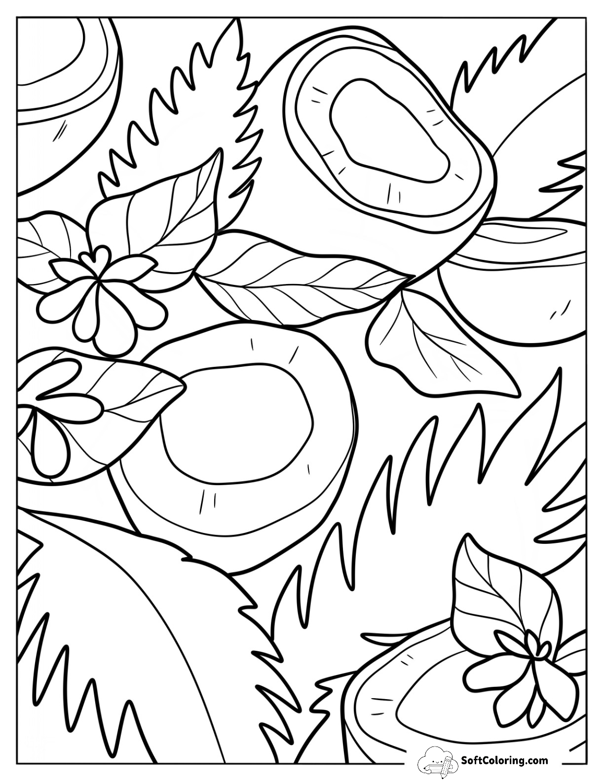 Open Coconut Coloring Page With Leaves And Flowers