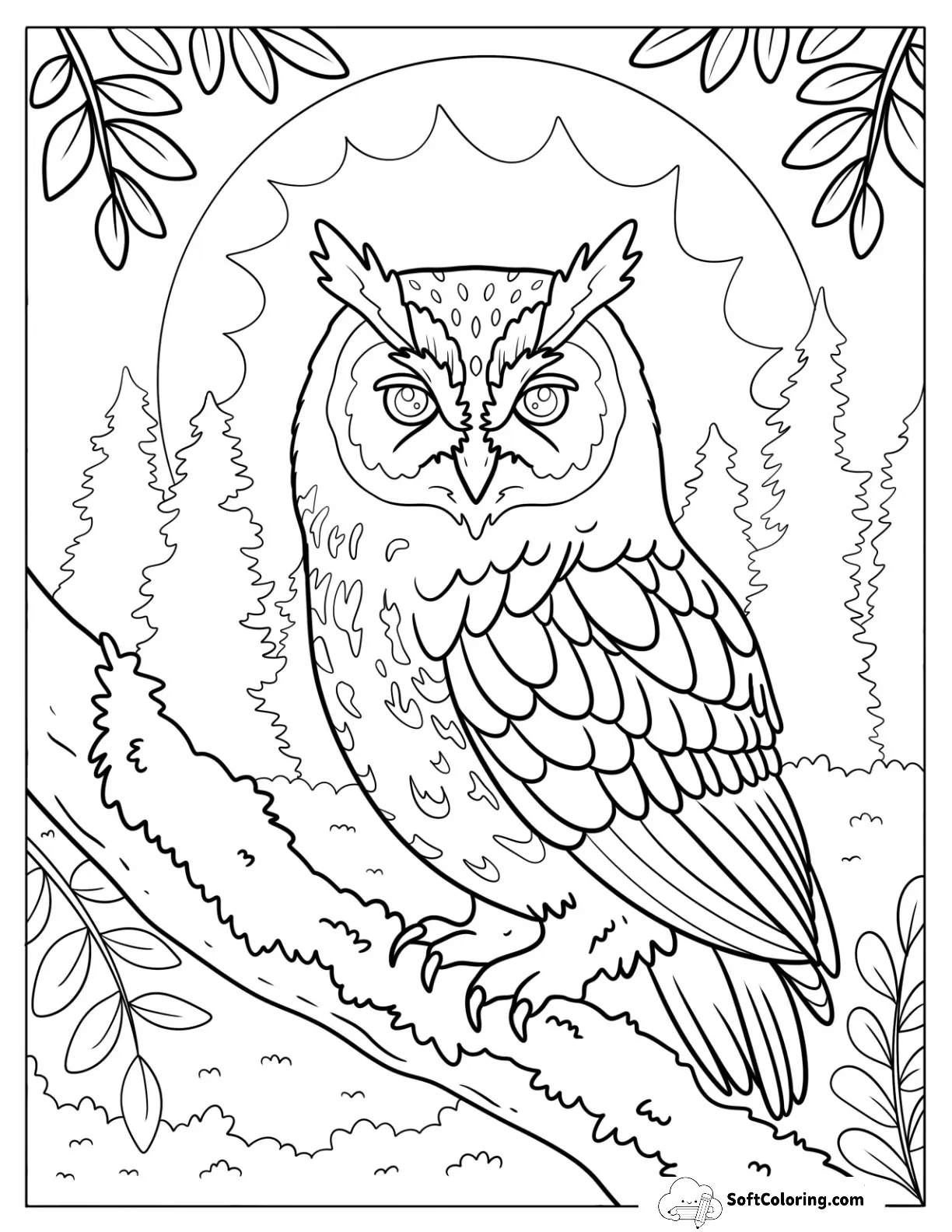 Realistic Owl Coloring Page In The Forest At Night