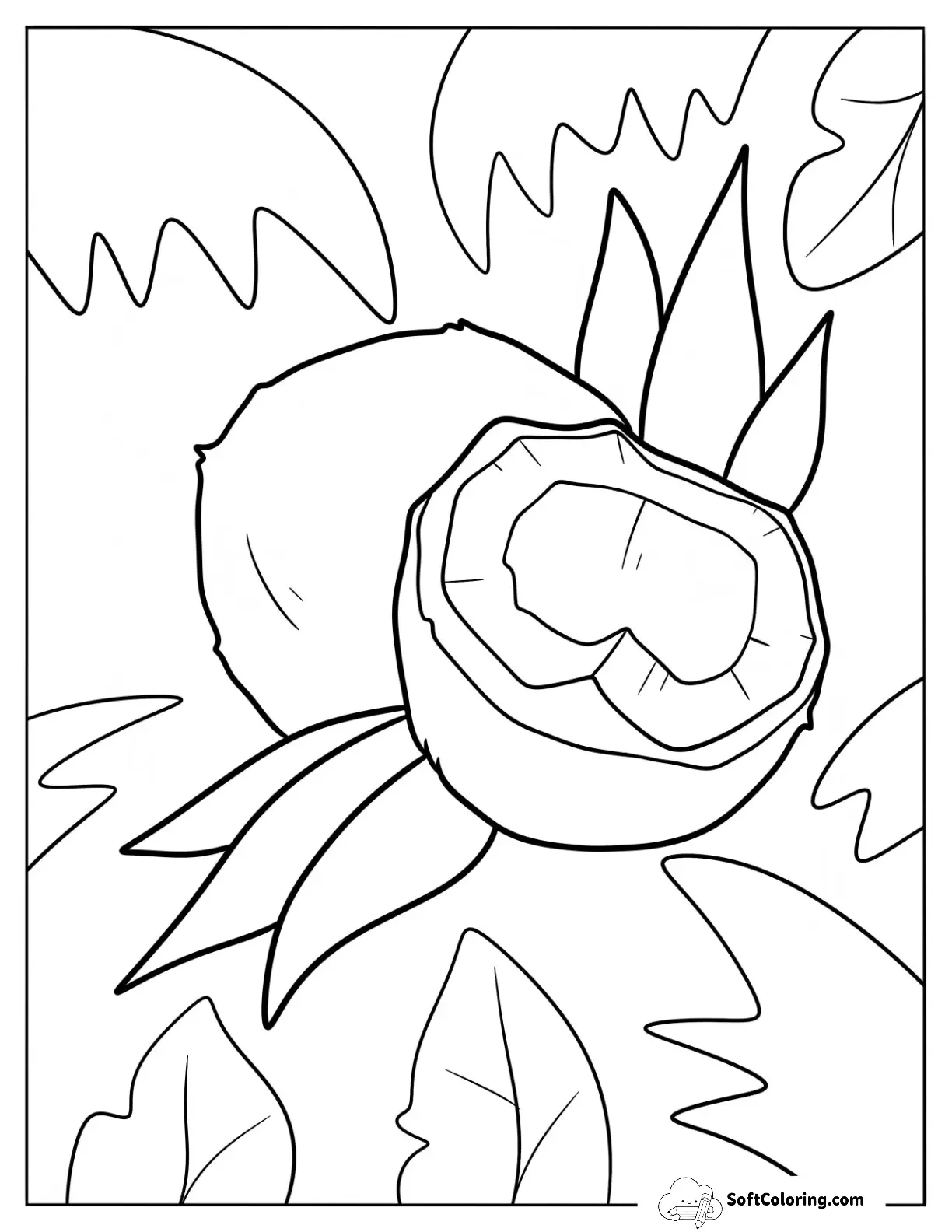 Realistic Whole And Half Coconut Coloring Page For Kids