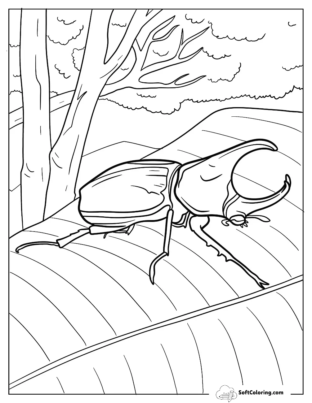 Rhinoceros Beetle Coloring Page On A Leaf