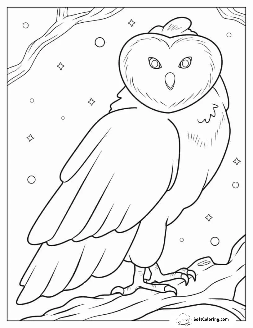 Simple Barn Owl In Snow To Color