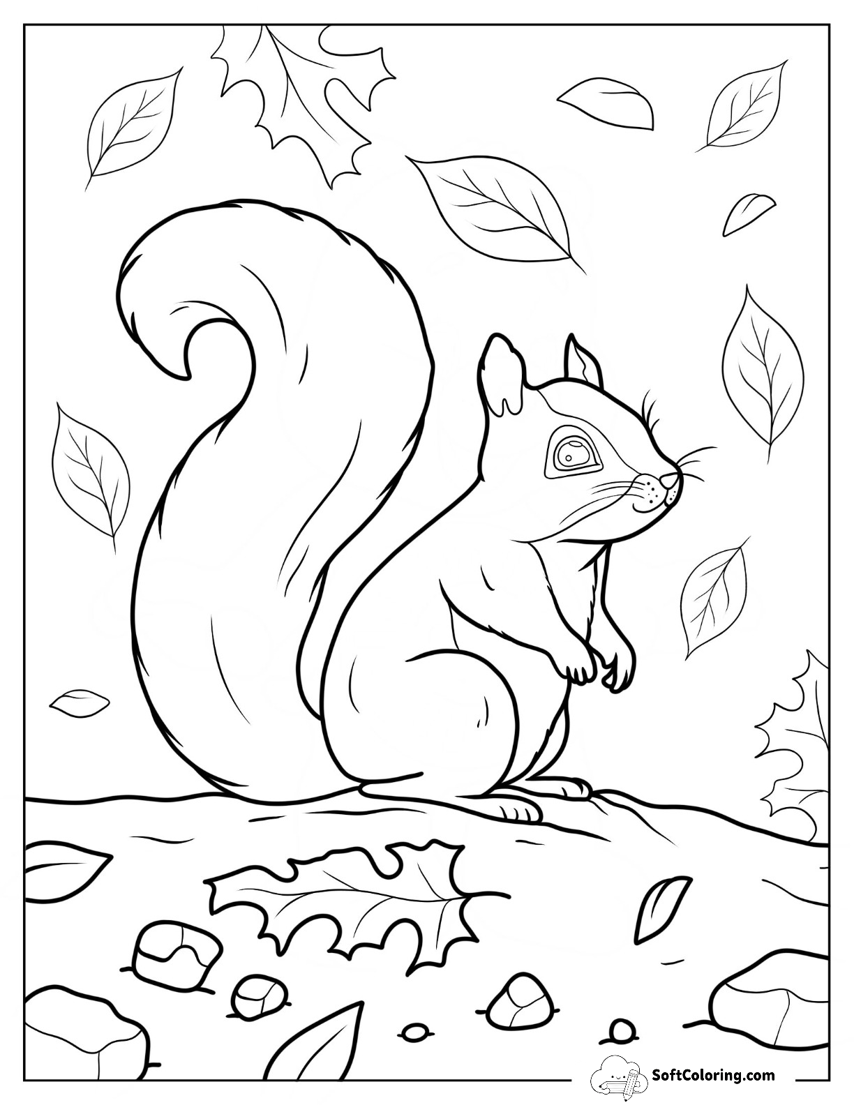 Simple Squirrel Outline In Fall For Kids