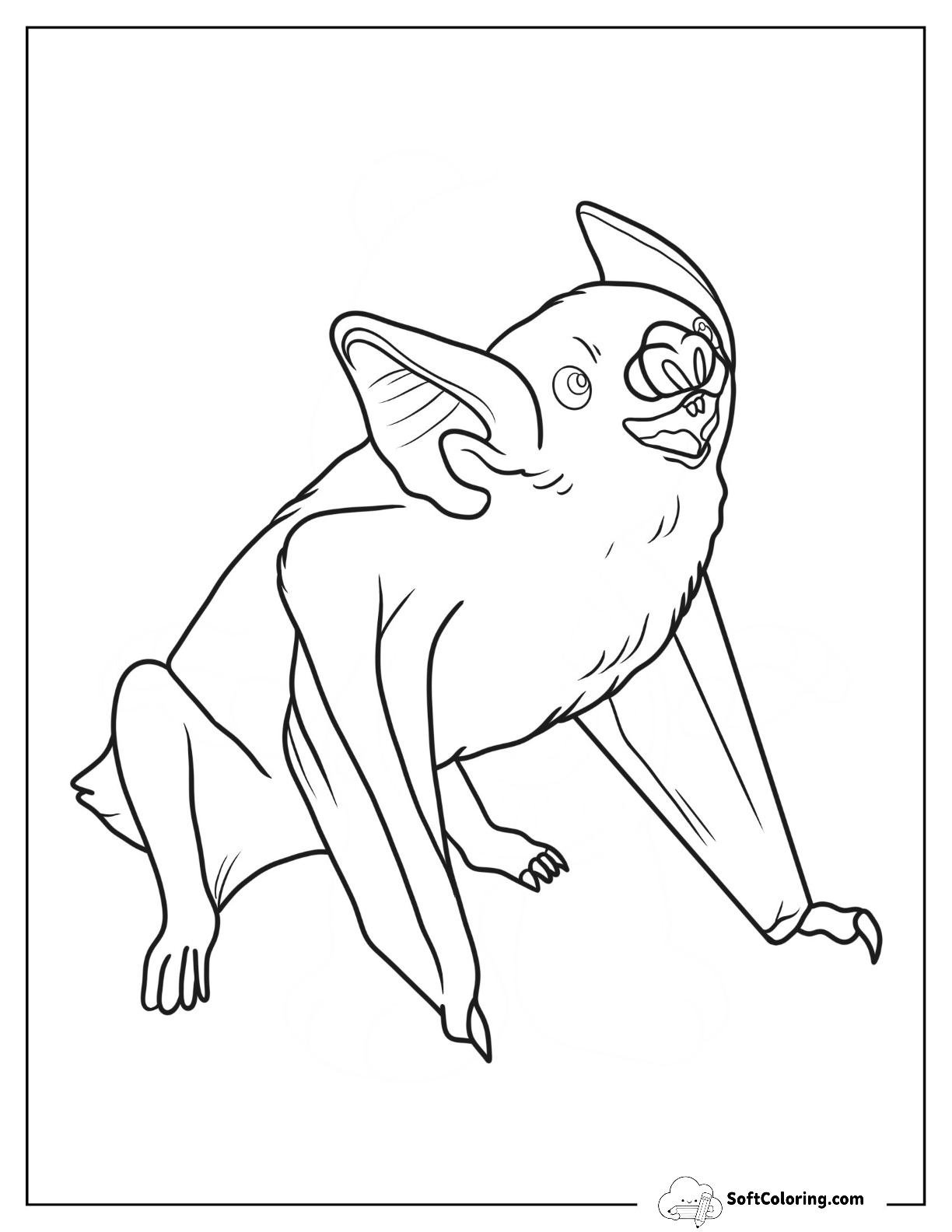 Smiling Vampire Bat Coloring Page