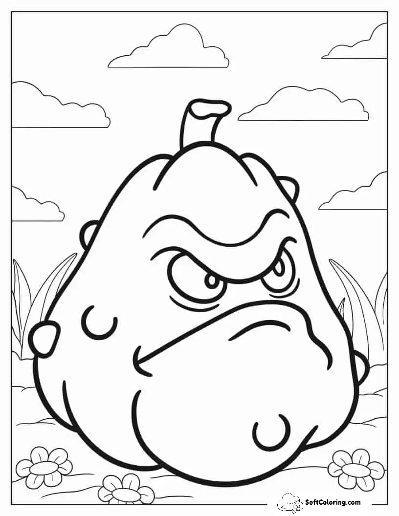 Squash Vegetable To Color