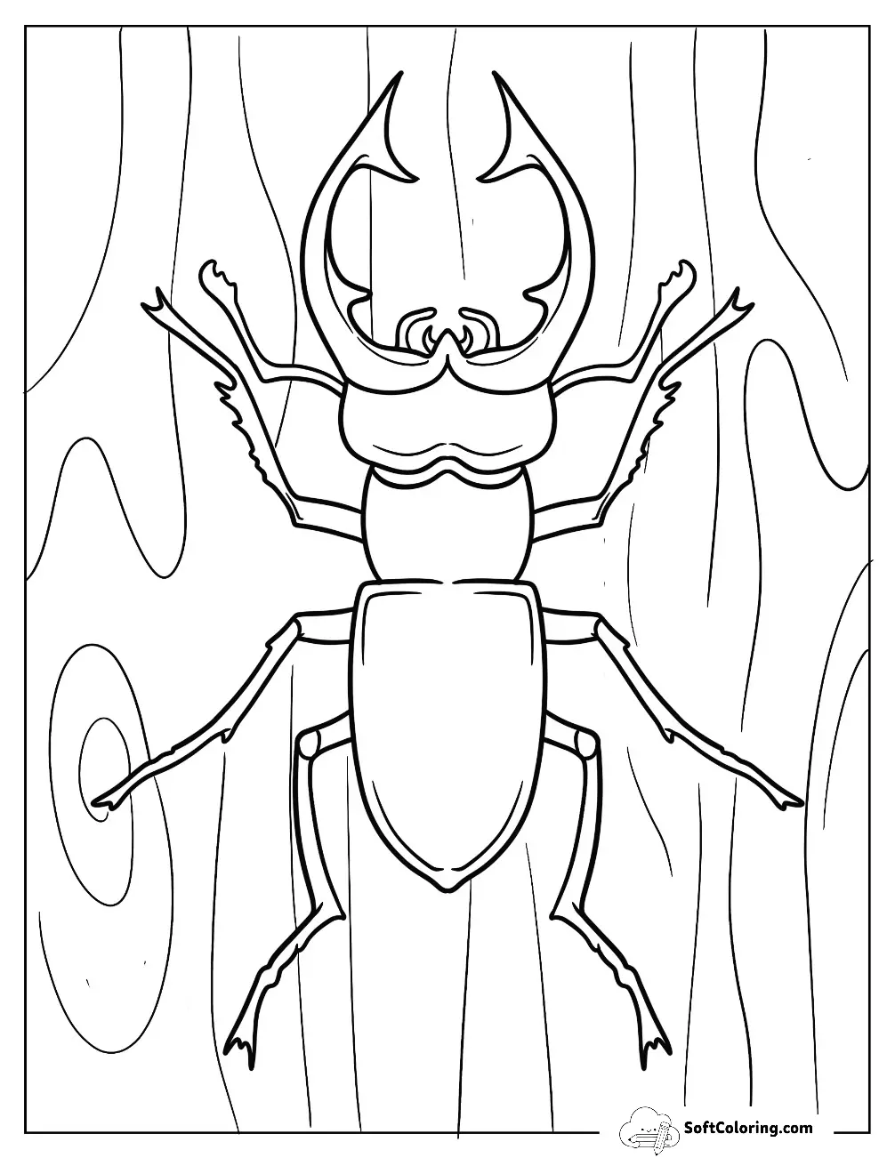 Stag Beetle Coloring Page On Textured Wood