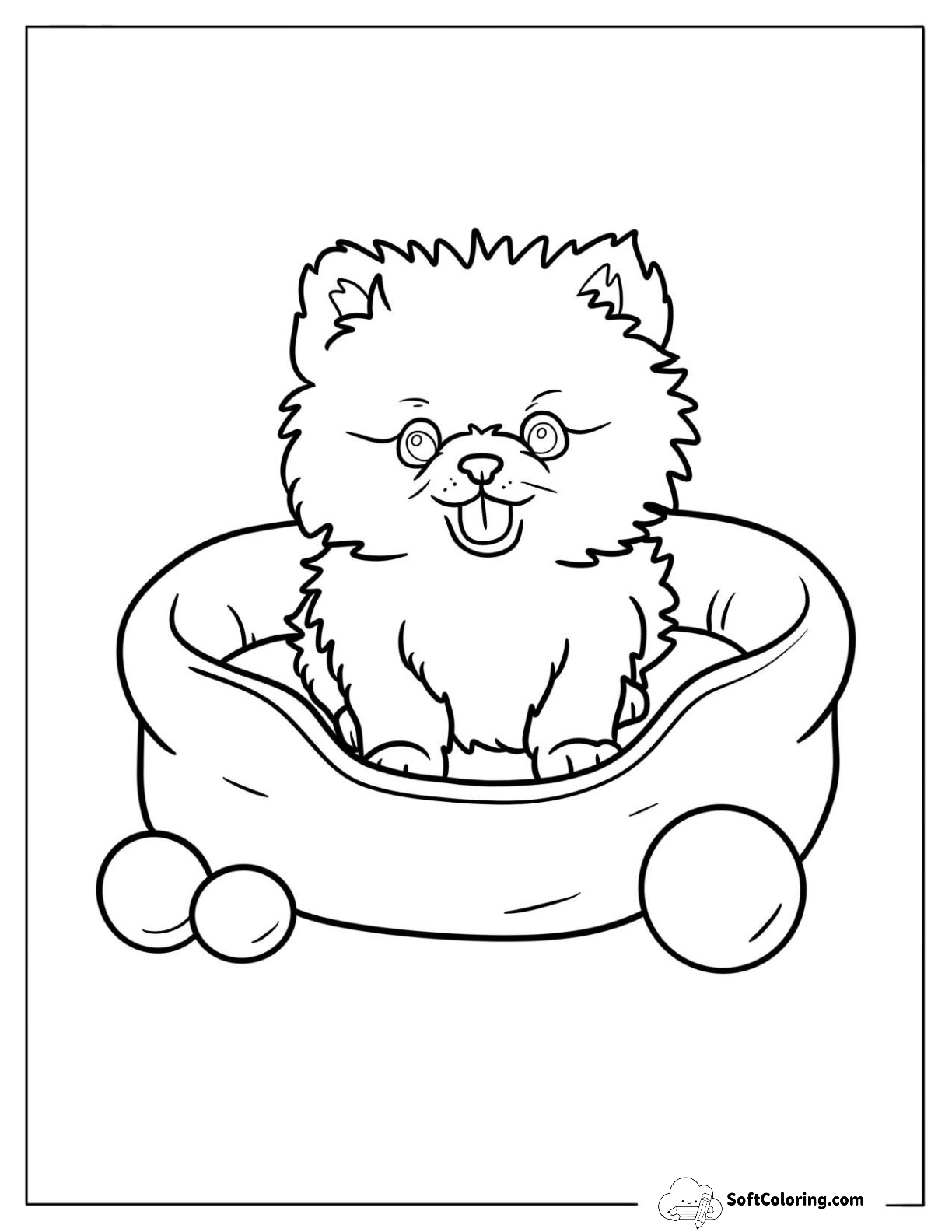 Sweet Pomeranian Puppy In Cozy Dog Bed With Toys