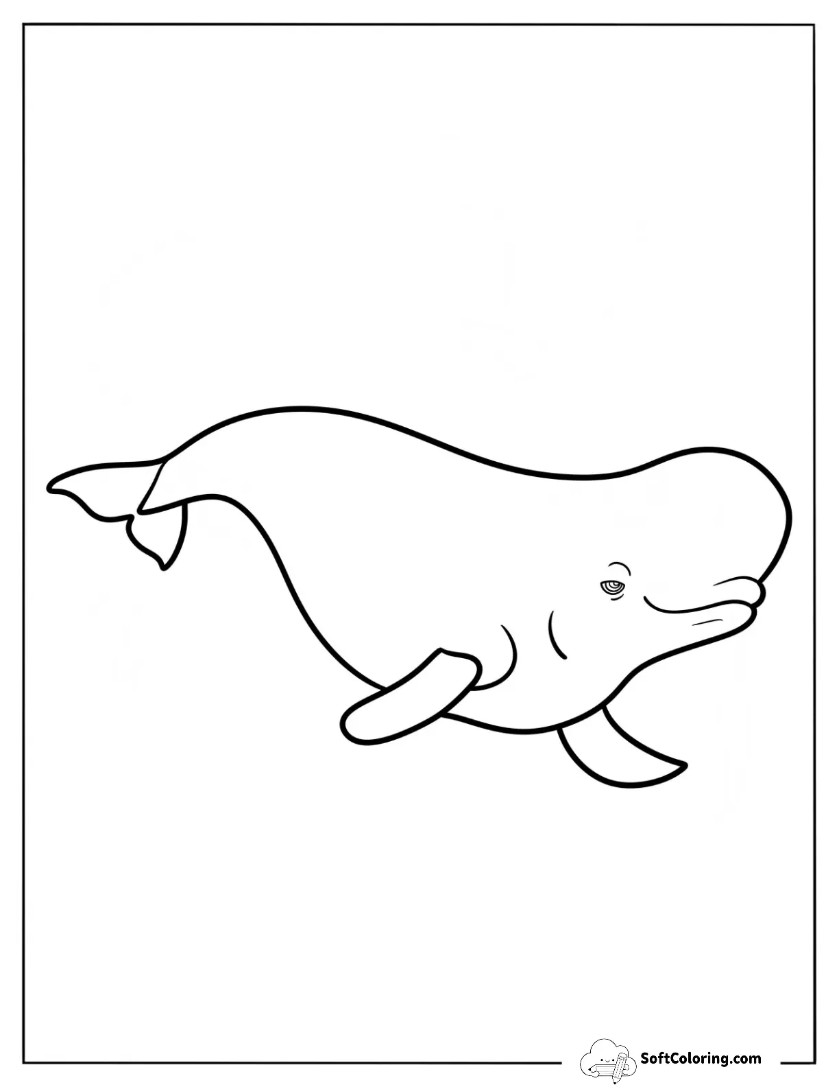 Swimming Bailey Beluga Whale