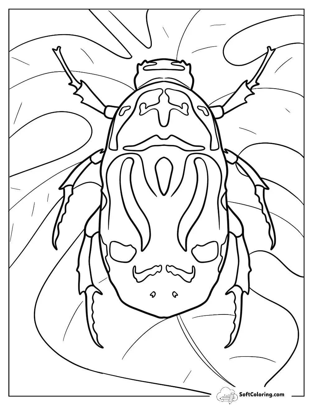 Top View Orange Lady Beetle Coloring Page