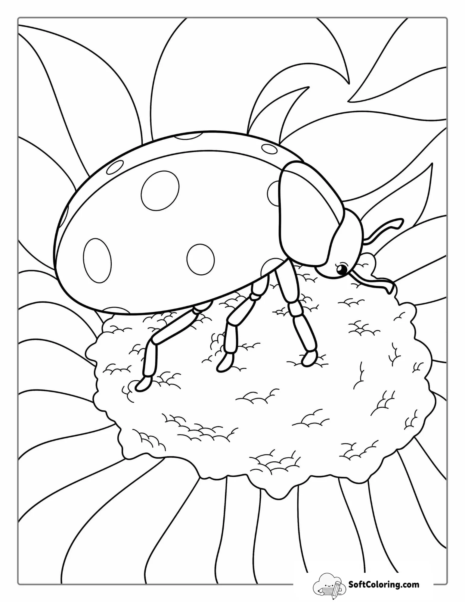 Detailed Ladybug On Daisy Flower Coloring Page