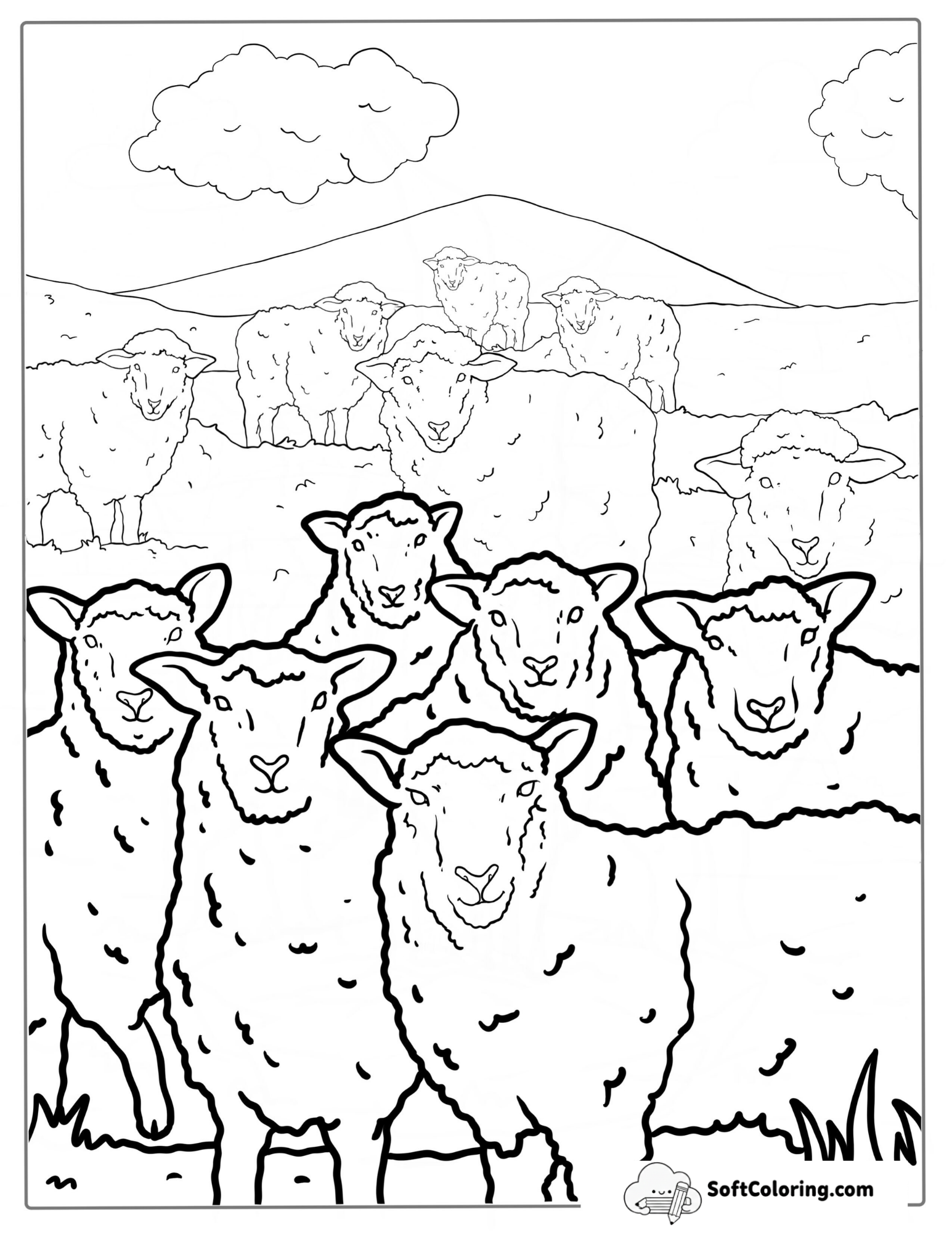 Flock Of Sheep Standing In Paddock Coloring