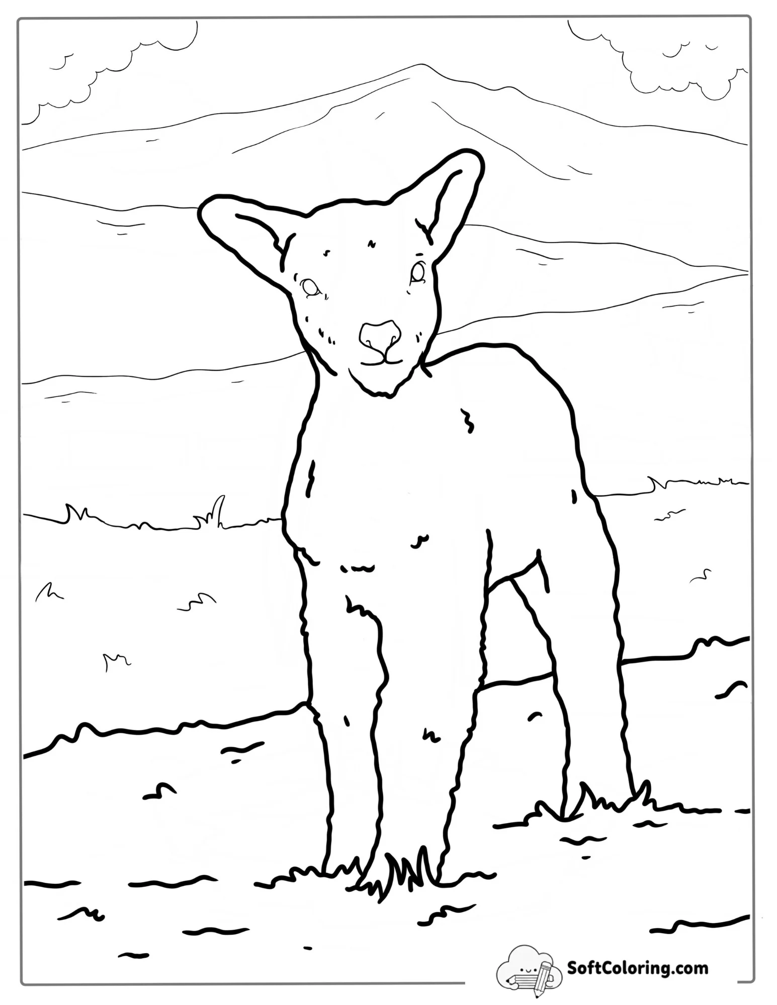 New Born Lamb Standing In Field Coloring
