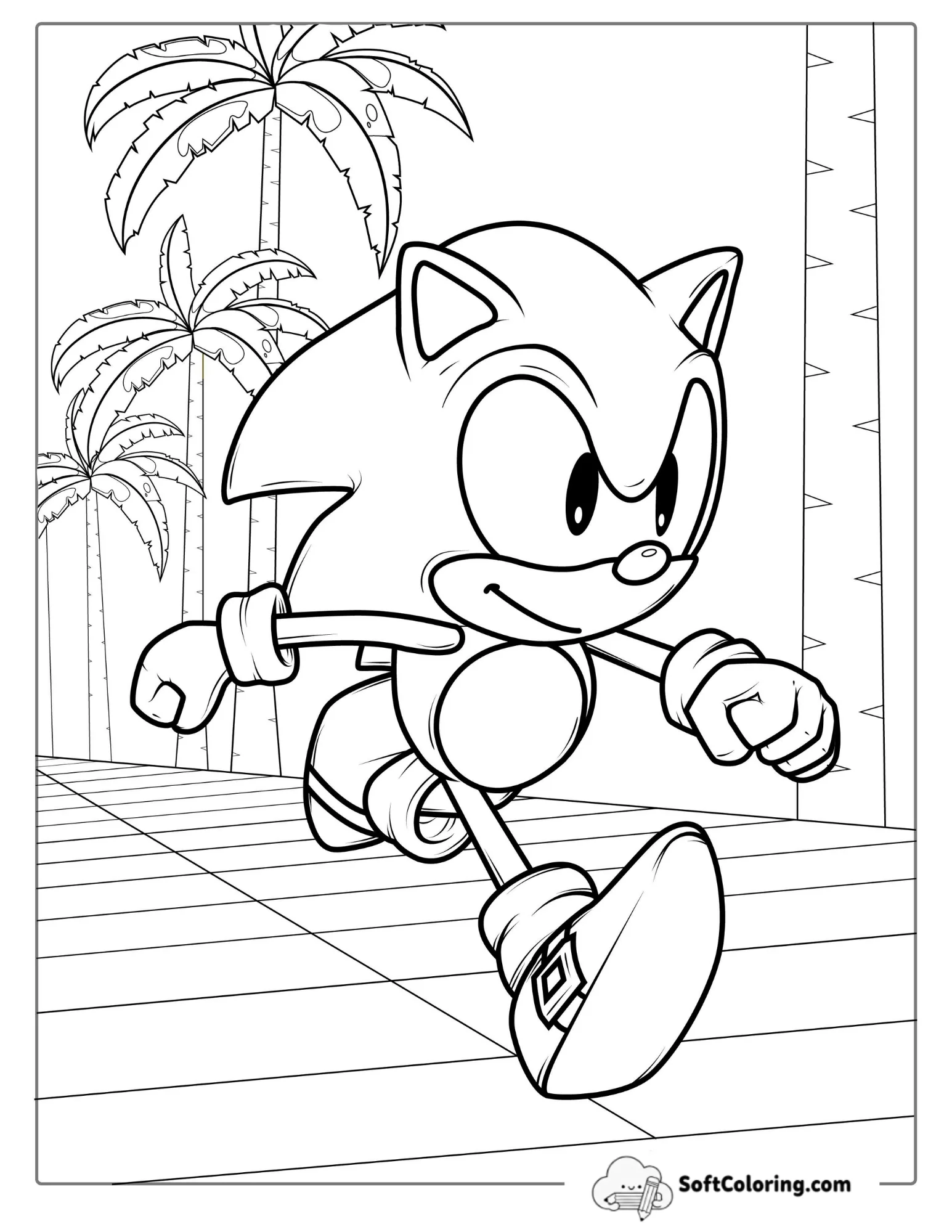 Running Sonic In Video Game