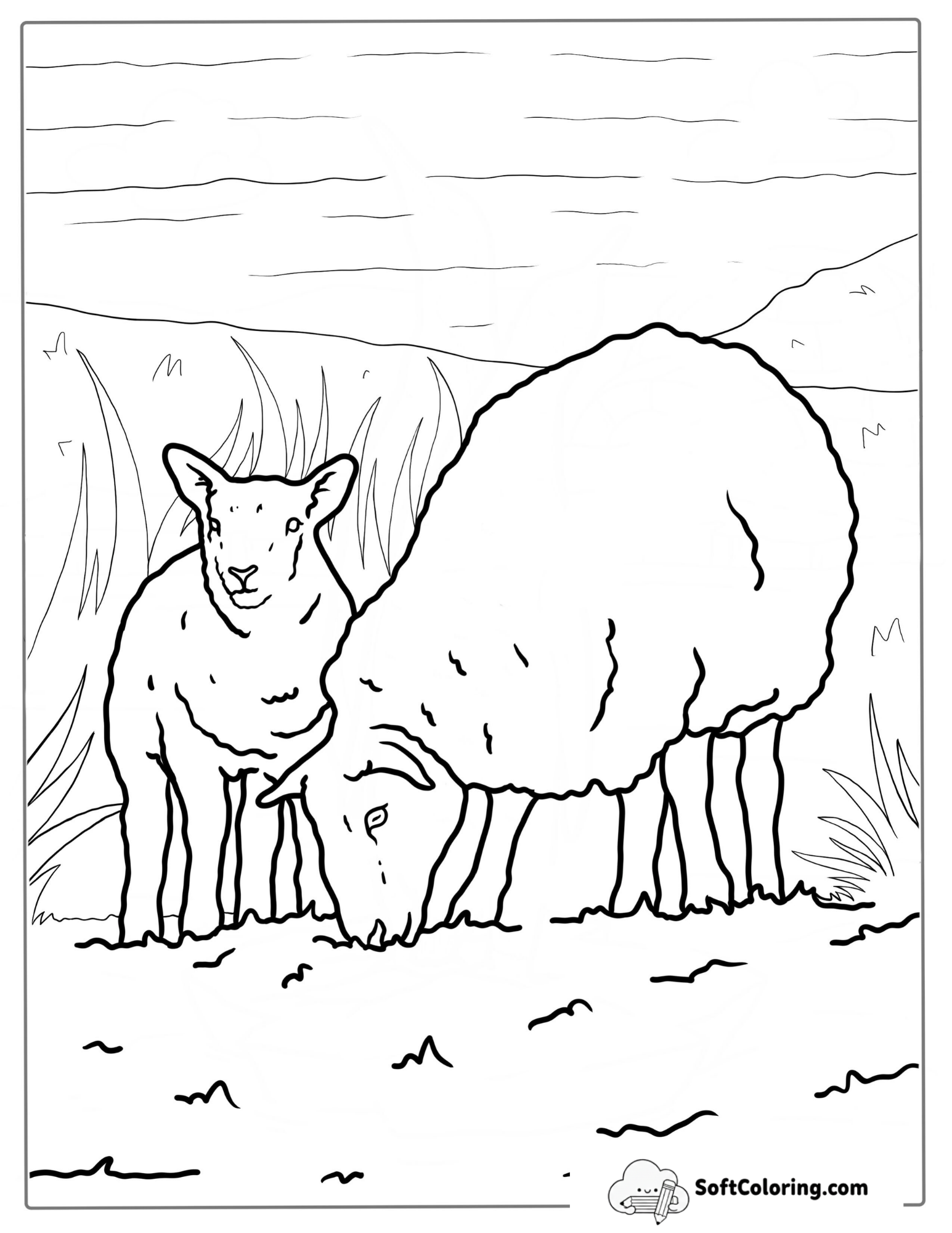 Sheep And Baby Lamb Coloring For Kids