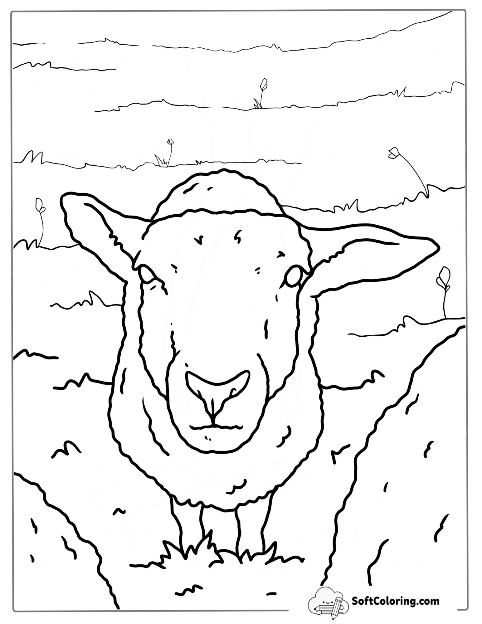 Sheep Standing In A Field Coloring Page