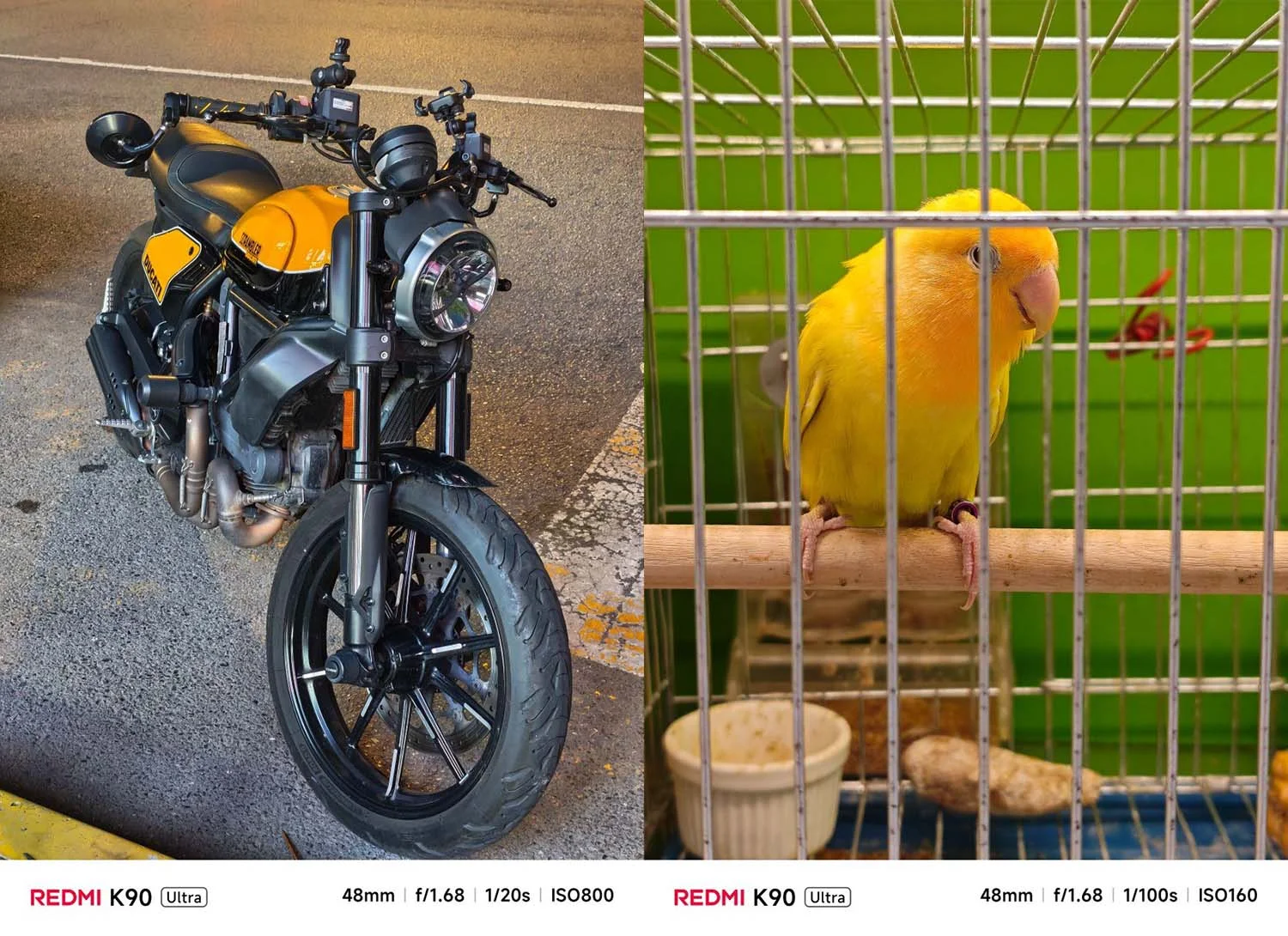 Ảnh chụp đảm bảo cho chất lượng sắc nét, màu sắc tươi, chi tiết rõ ràng