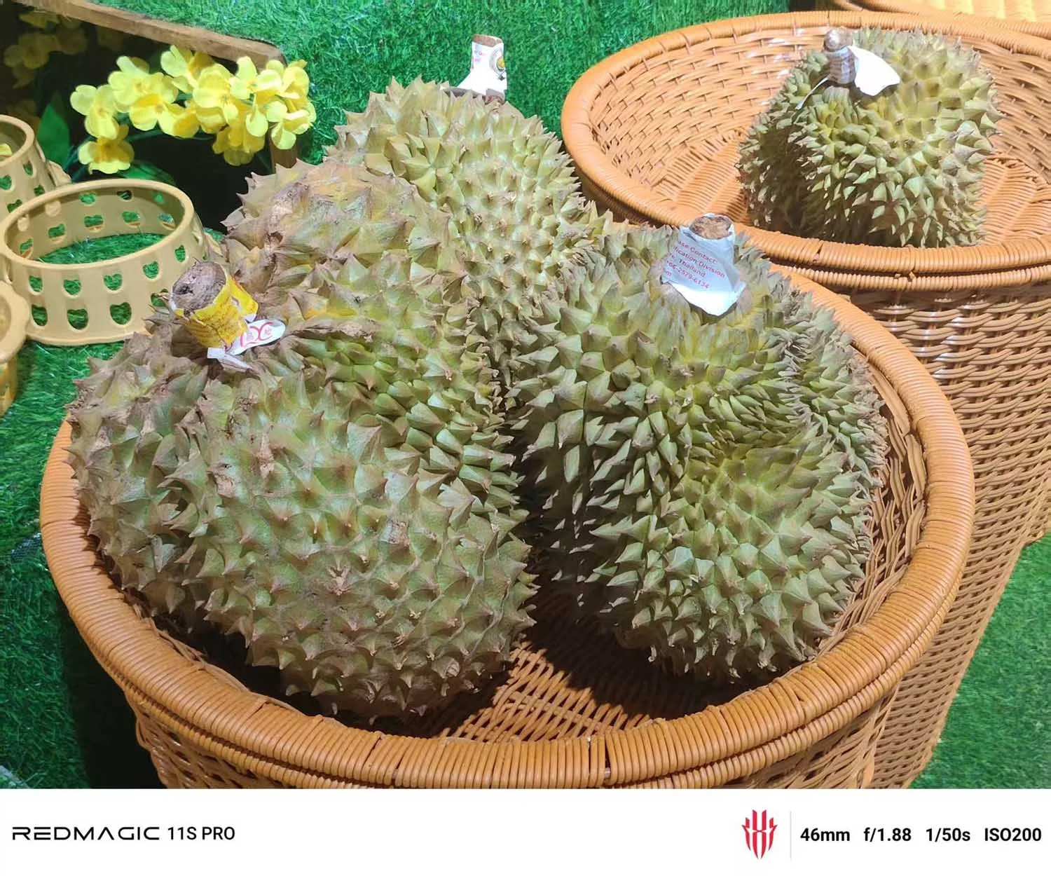 Ảnh chụp cận cảnh đủ sáng
