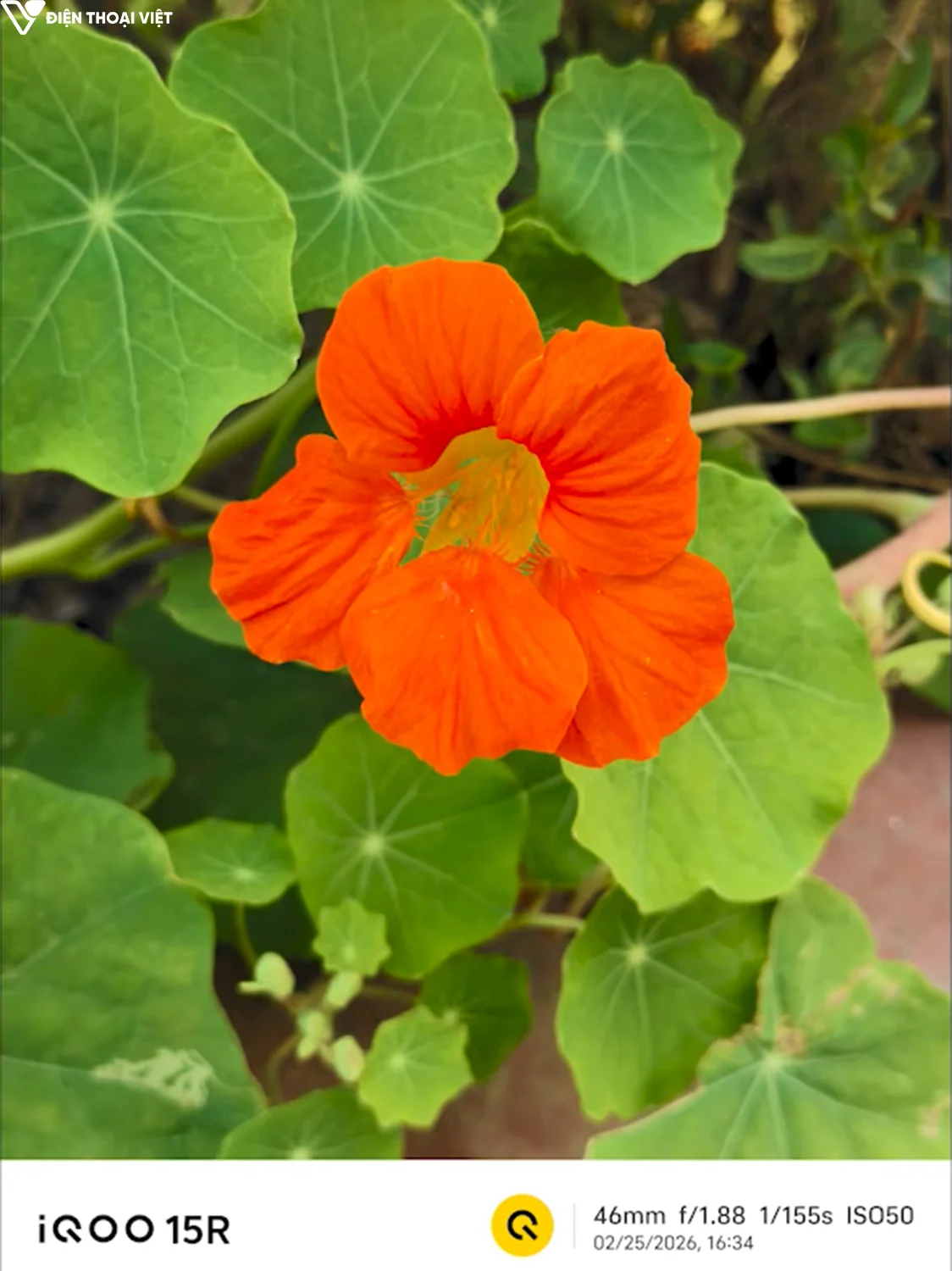 danh-gia-iqoo-15r-anh-chup-3