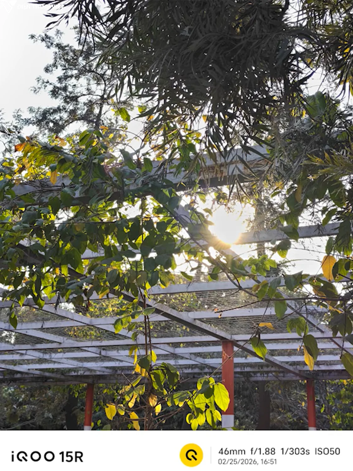 danh-gia-iqoo-15r-anh-chup-4