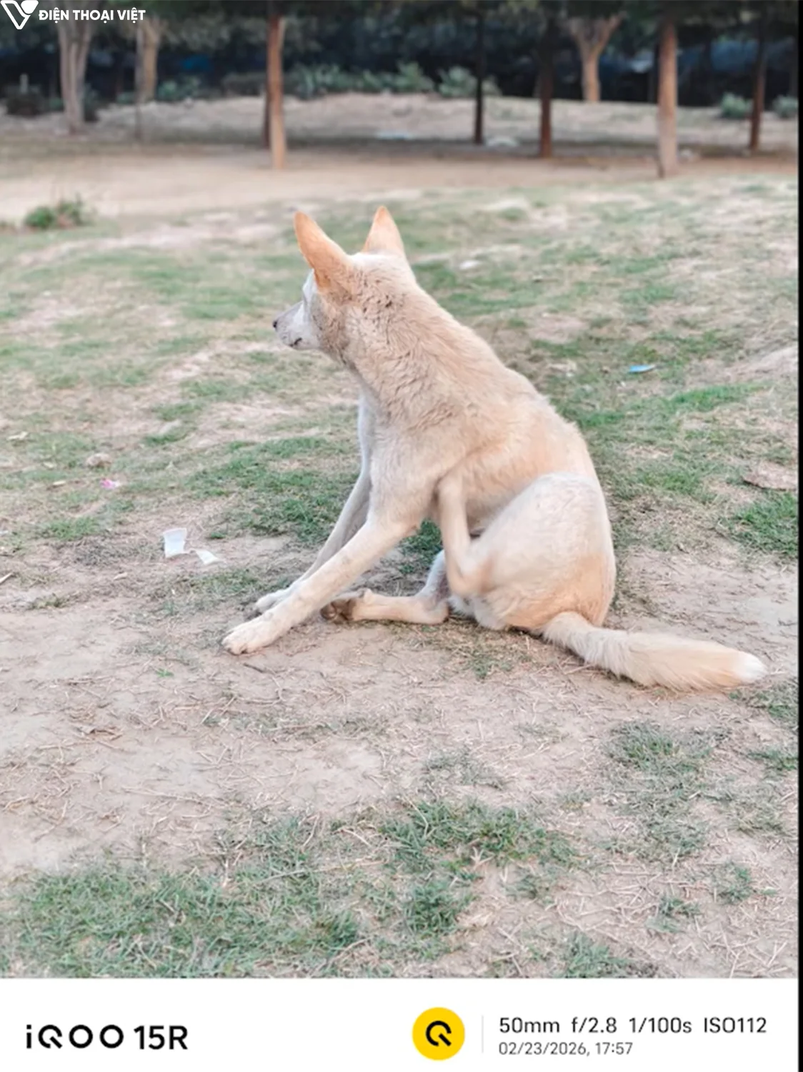 danh-gia-iqoo-15r-anh-chup-5