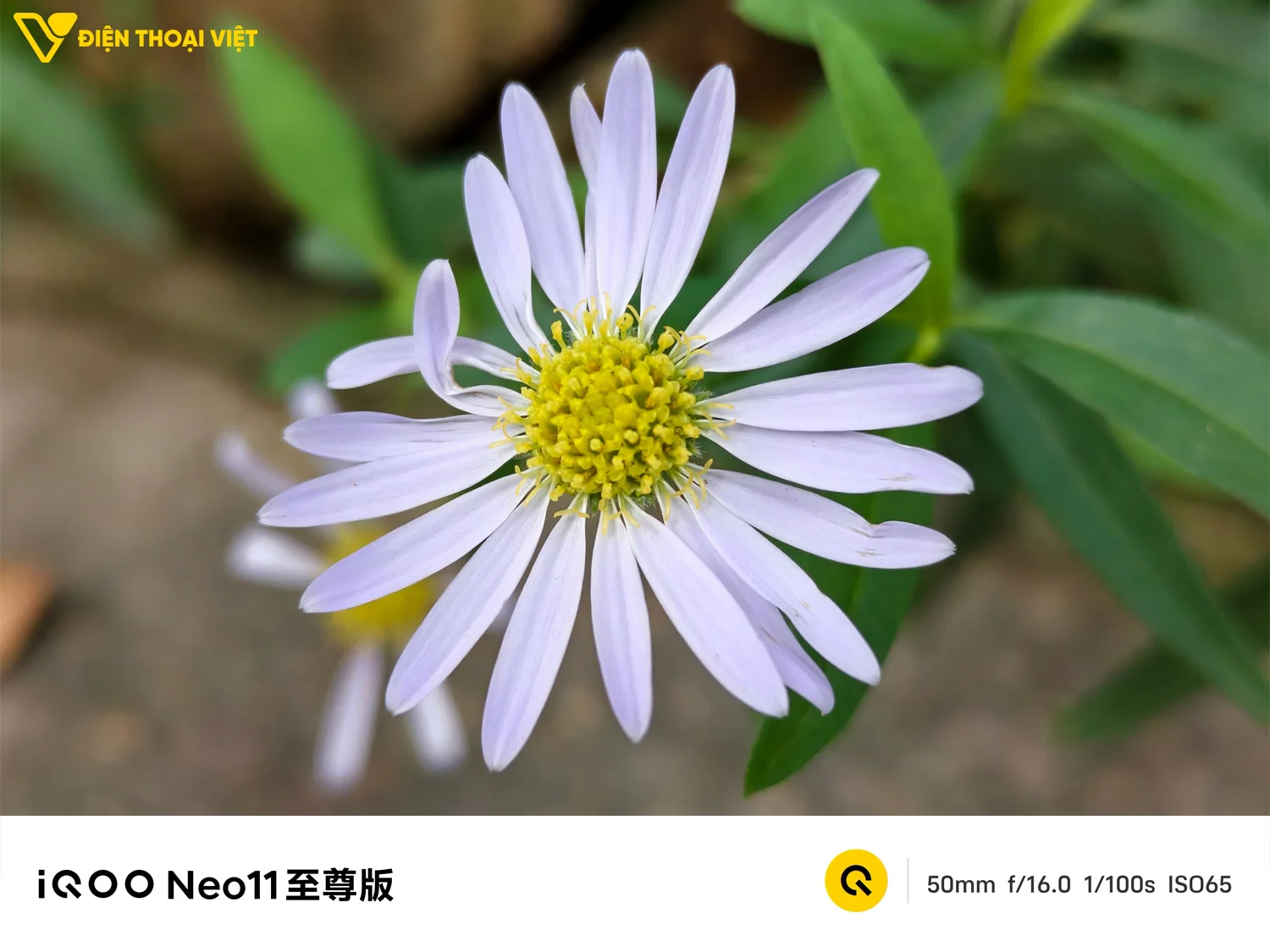 Ảnh chụp cận cảnh trên iQOO Neo 11 Ultra