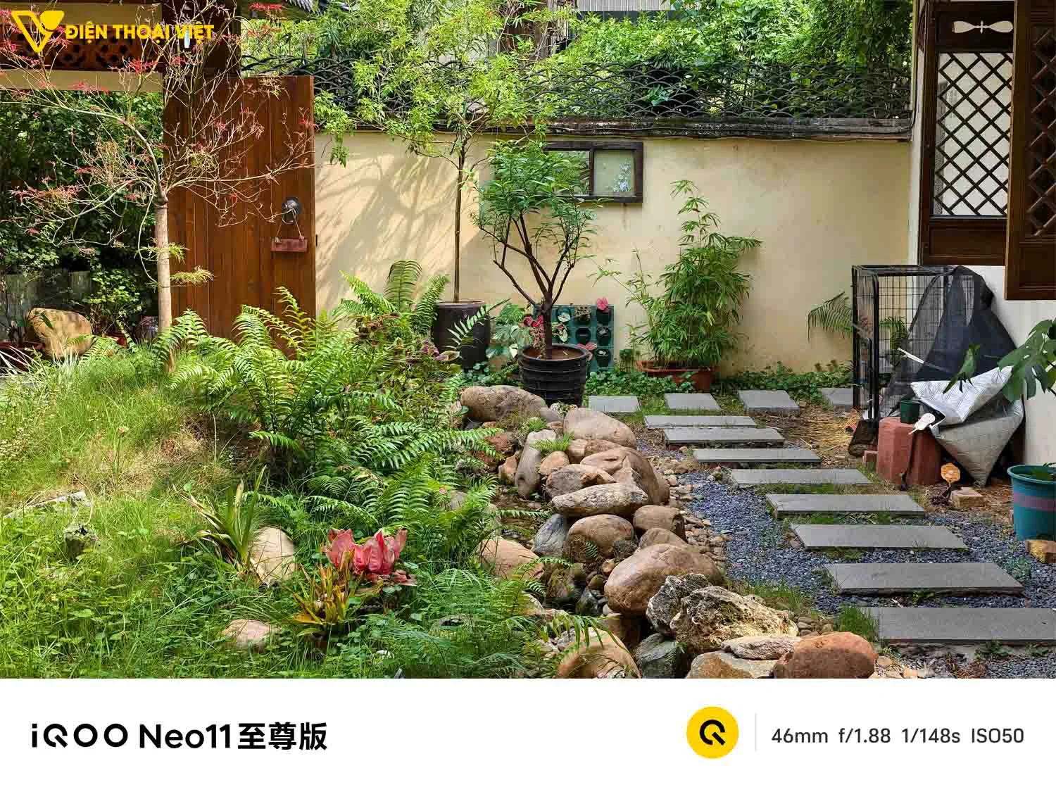 Ảnh chụp vườn cây trên iQOO Neo 11 Ultra